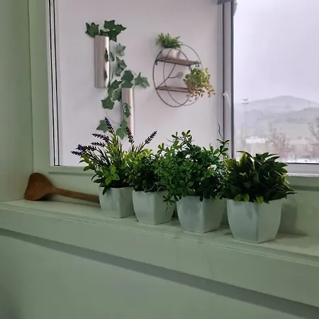 Appartamento Casa Filo
