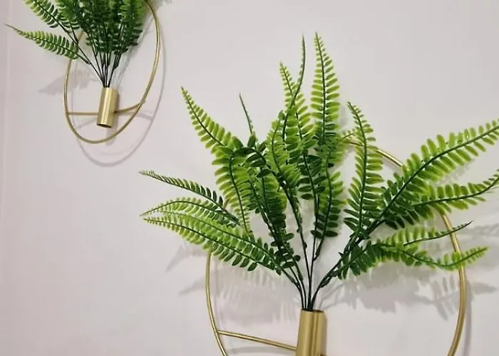 Casa Filo 아파트 페소다레과