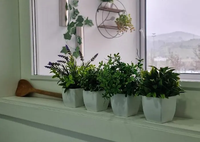 Apartamento Casa Filó